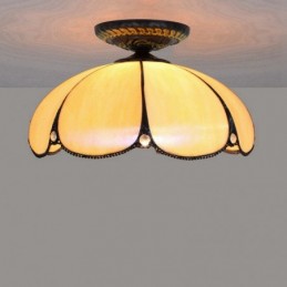 Yellow And Amber Shell And...